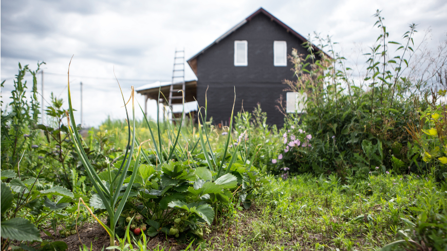 House and permacultural gardening