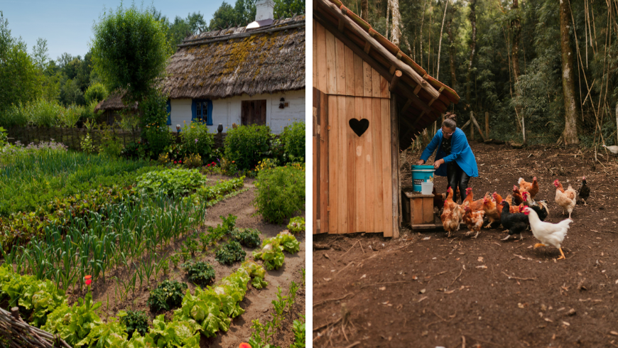Permaculture garden showing sustainable farming practices and sustainable travel values