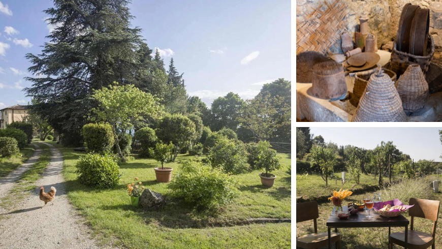 Casa Cares, Tuscan olive grove experience for couples and families