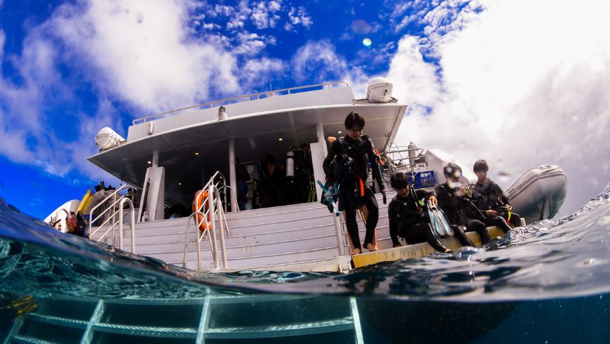 Boat operator for snorkeling and scuba diving in the sea of the great barrier reef 