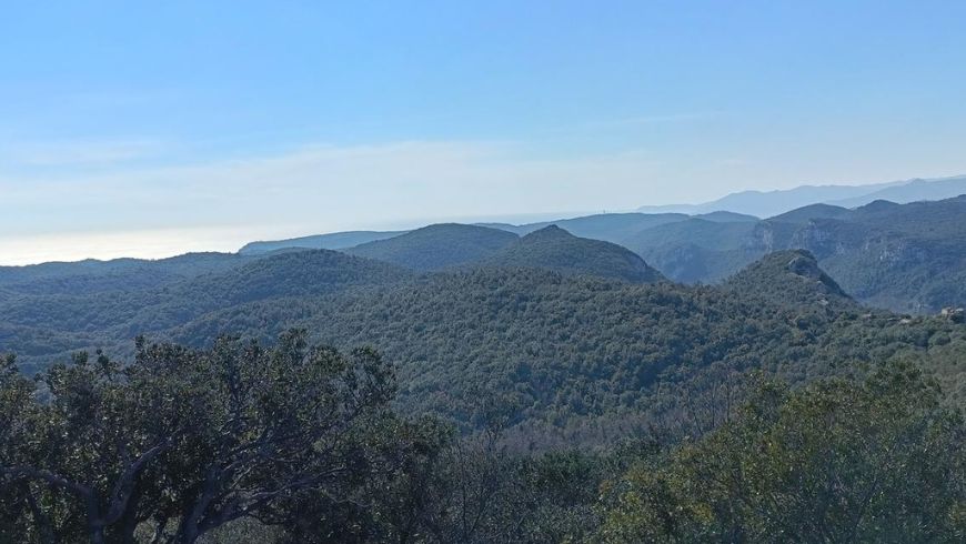 San Bernardino Plateau. 
