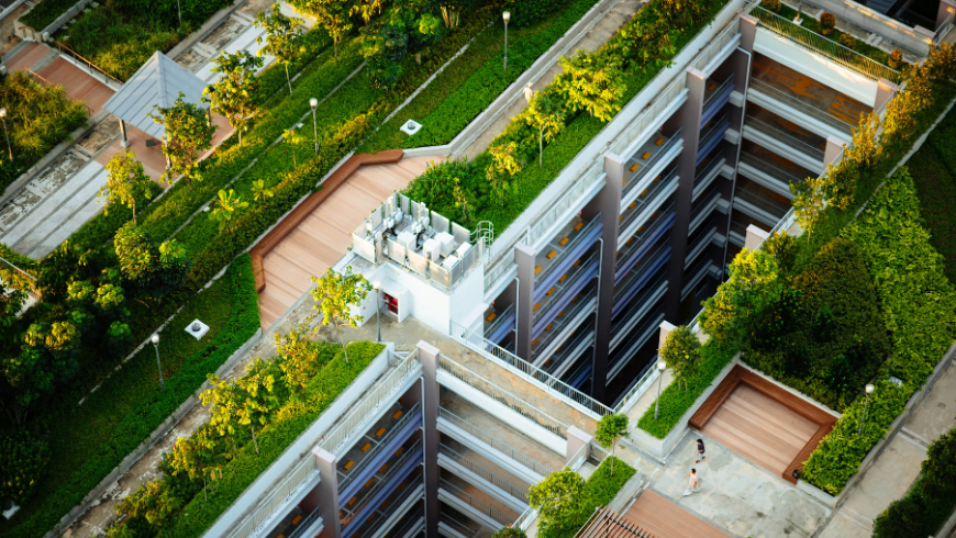 Green roofs in sustainable buildings used as communal spaces
