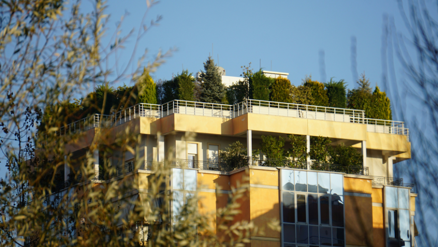 Rooftop garden in sustainable buildings