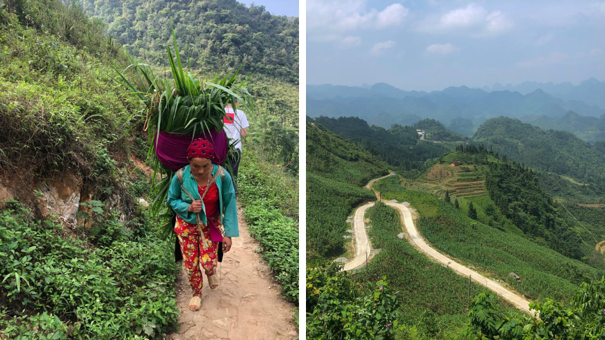 Local vietnamese woman carring goods in ha giang loop area
Nature green landscape in northern vietnam