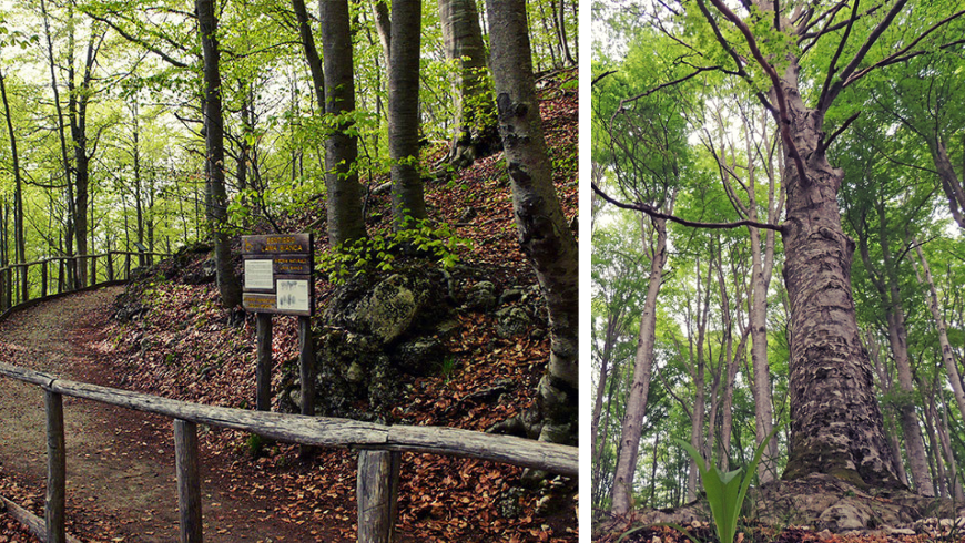 Lama Bianca Nature Reserve