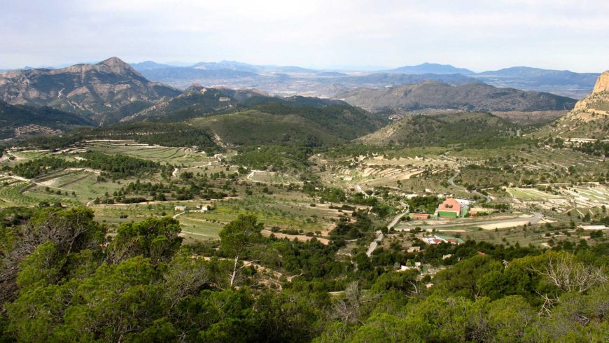 Green mountains near Alicante