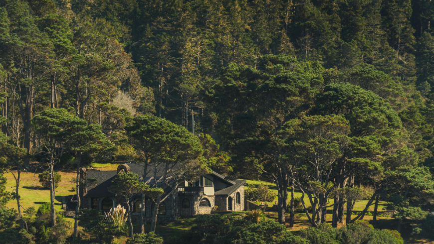 Eco friendly accomodation surrounded by nature