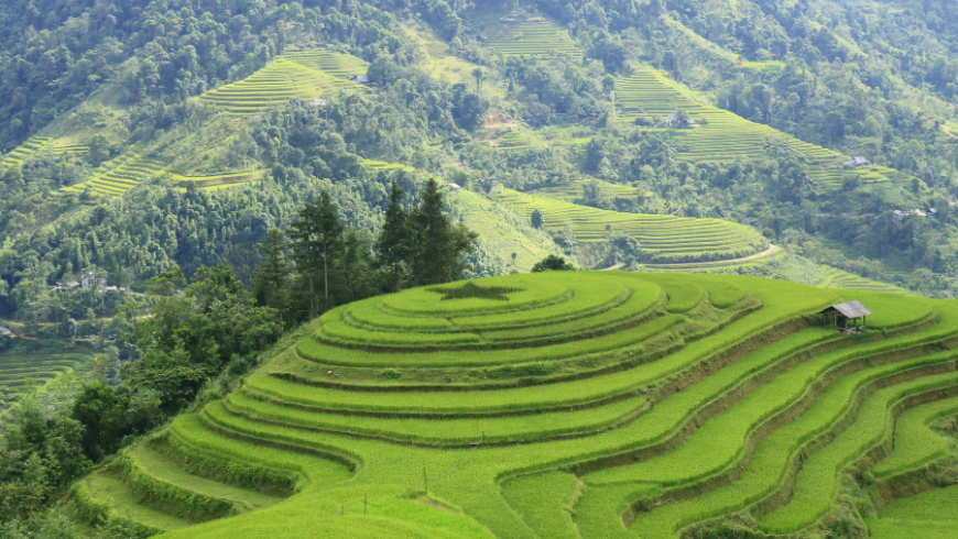 Vietnam´s Landscapes seing by train in Sapa