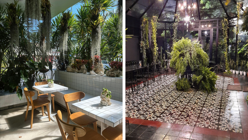 Outdoor Tropical Cafe with Modern Decor and Cozy Green House Cafe Interior 