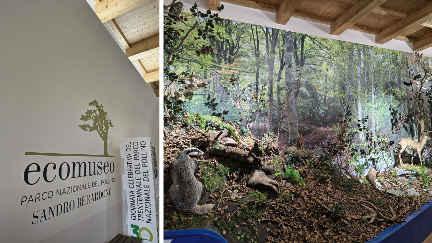 stuffed animals in the Pollino Ecomuseum