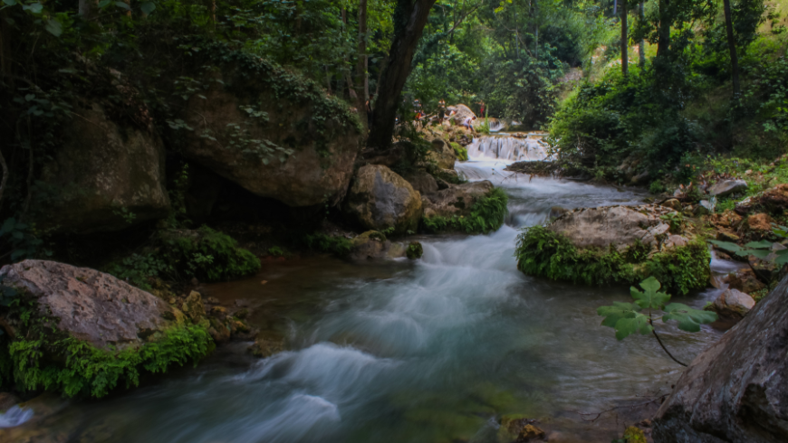 Natural river ecosystem shaped by water flow, vegetation, and biodiversity.