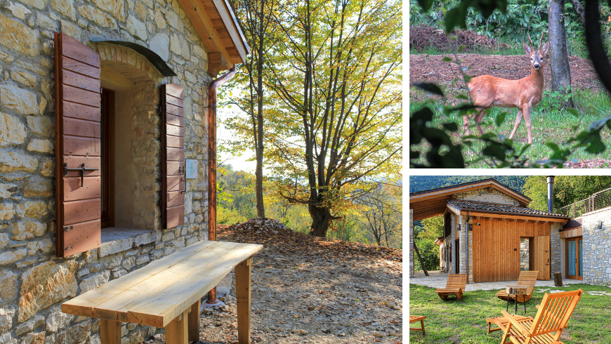 sustainable agriturismo Cargador de Ron, surrounded by woods, near Valdobbiadene