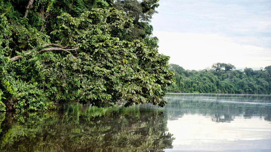 Excursions on Tambopata river