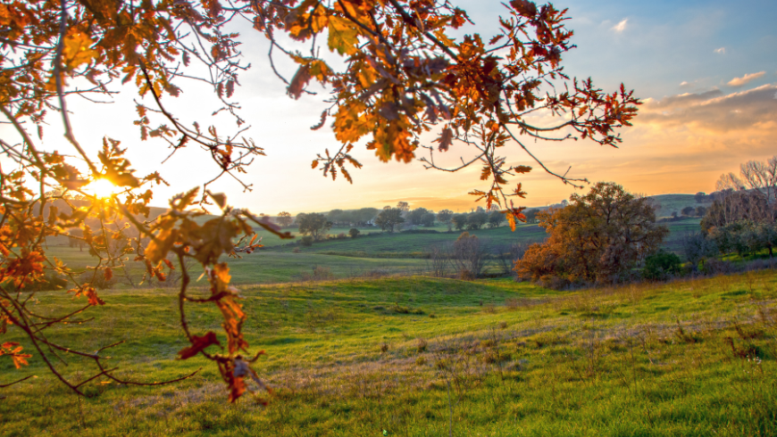 What to do in Maremma, Tuscany, Italy