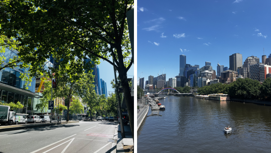 Street in Melbourne with trees and Yarra River