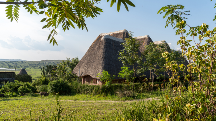 Outoor hut lodging at a safari lodge accomidations for toursts, in Uganda, with thatched roof