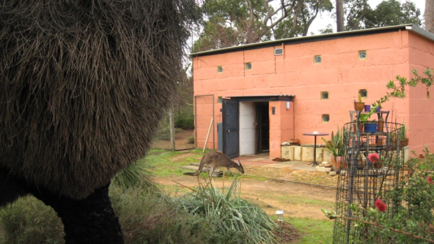 Small orange house in a rural area in Autralia with a kanguru in the front