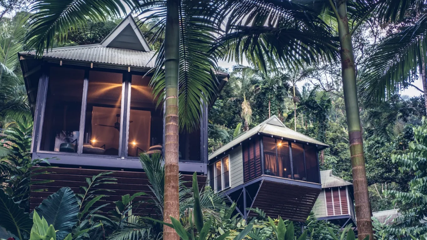 Eco Lodges in the jungle (Daintree Ecolodge in Cairns, Australia)