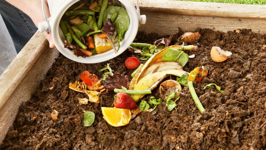 Compost