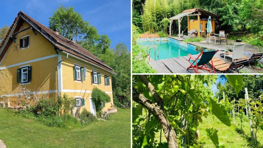 landhaus berghansl eco-friendly accomodation surrounded by nature in Styria 