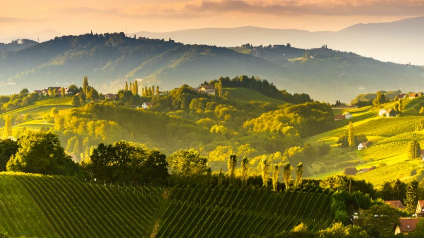 Rolling hills and vineyard in southern Styria, Austria.