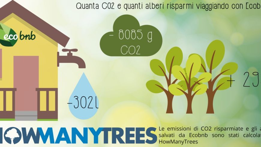 Infographic on the environmental impact of sustainable accommodations: reduced CO₂ emissions, lower water consumption, and a positive contribution to tree protection.