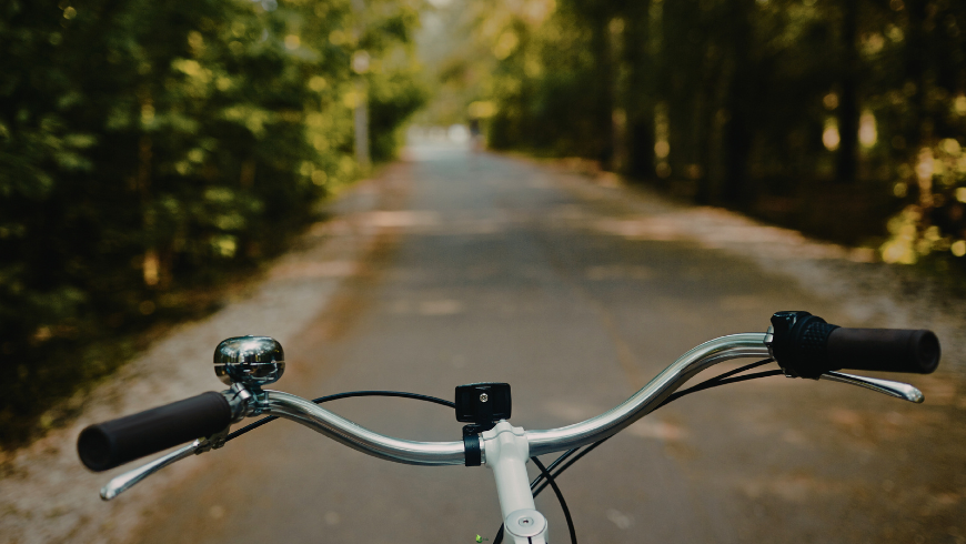 Cycle through vineyards and olive groves on scenic roads
