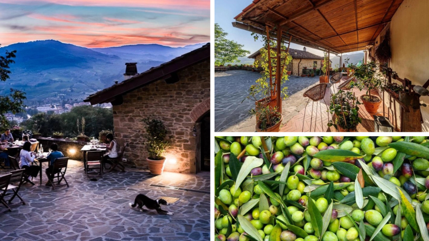 Farmhouse courtyard with orange sunset on the hills and people eating outside, sunlit patio and basket with olives