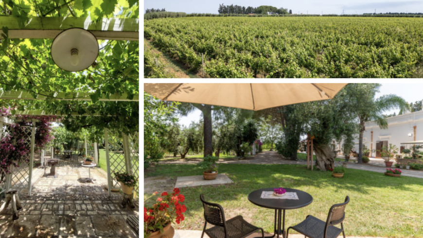 Agriturismo La Stornara, gardens and outside places to relax yourself 