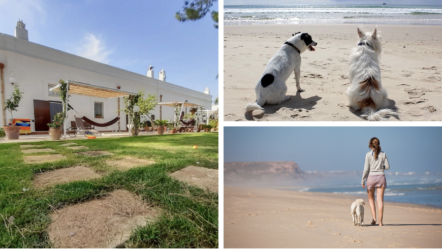 Garden of the Agriturismo La Stornara and dogs and owners walking at the beach