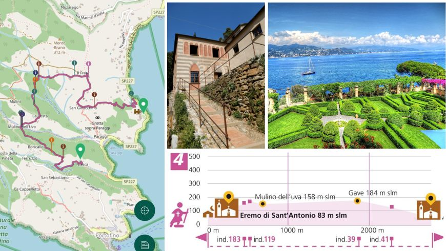 Map and elevation profile of the trekking route from Niasca to La Cervara in portofino