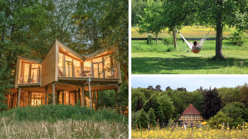 Treehouse with a person on a hammock and a stretch of meadow