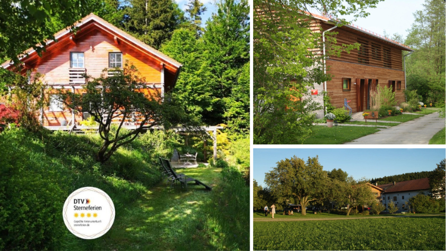 House immersed in greenery and meadow with trees