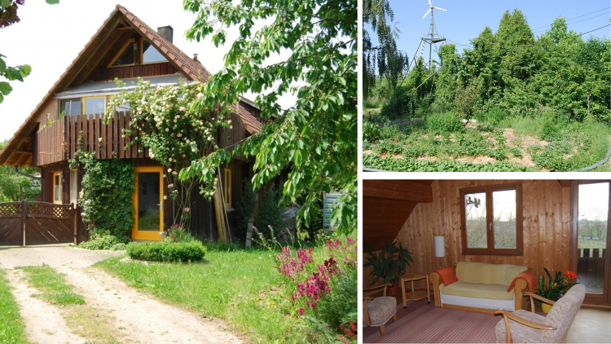 House in the greenery, living room, and natural oasis