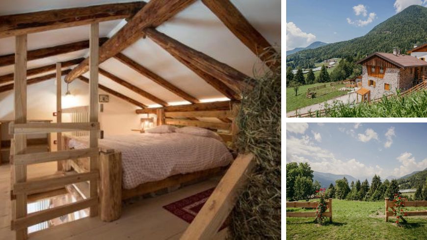 maso del fieno, sustainable stay in val di cembra
