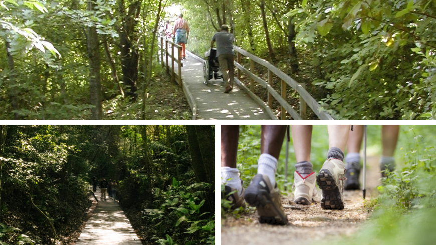 Path equipped with walkway and trekking between the park's paths