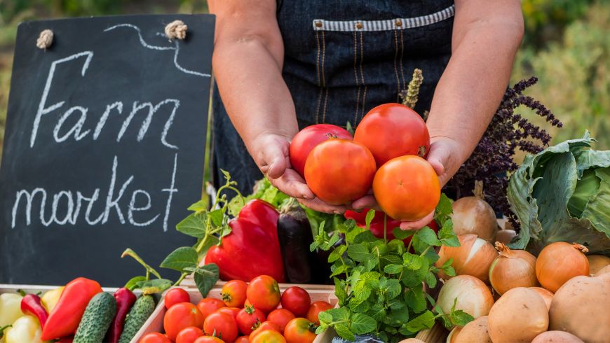 farm market in usa