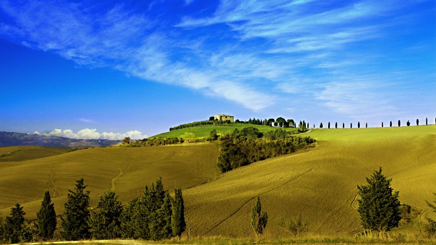 Beautiful hills with sun and trees