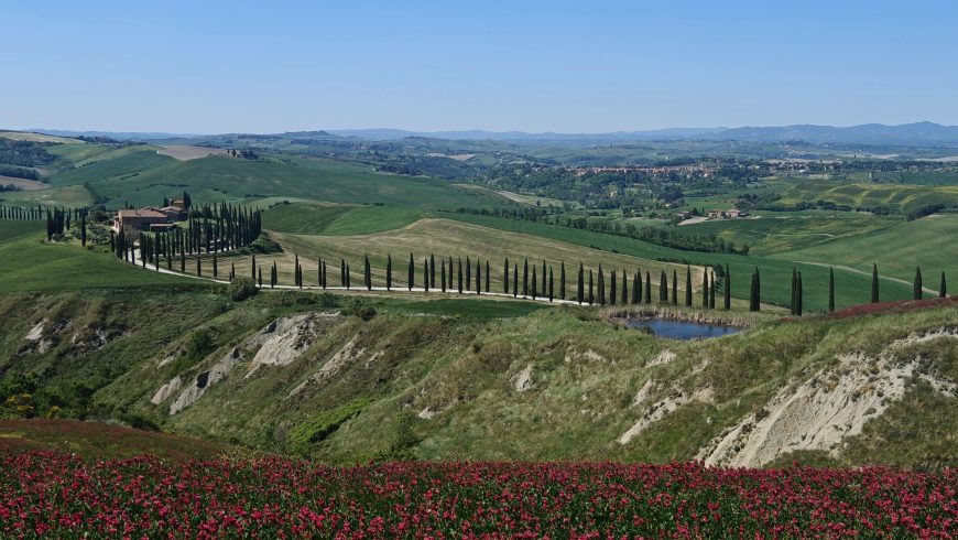 Flowery landscape in Val d'Orcia