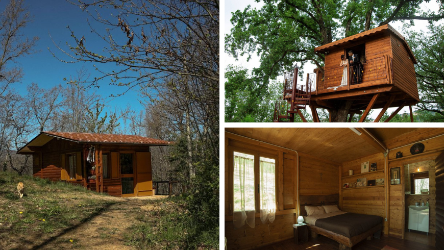 house in the woods and treehouse with the interior