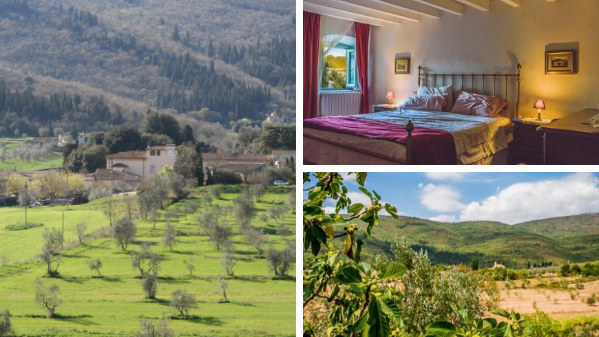 park and hills surrounding the farmhouse and room