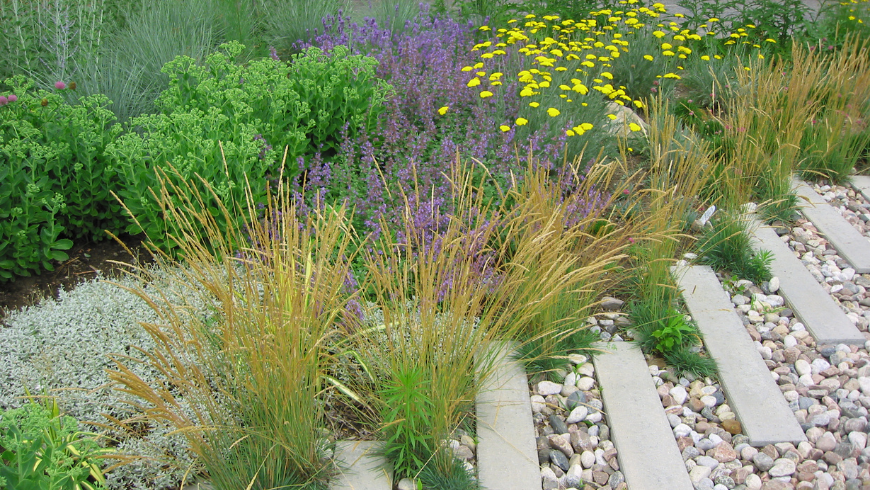 Stone steps surrounded by flowers, gravel, and carefully landscaped garden areas.