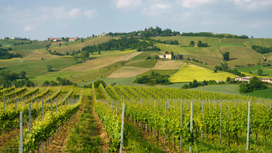 Why Choose Val Tidone for a Weekend Near Milan?