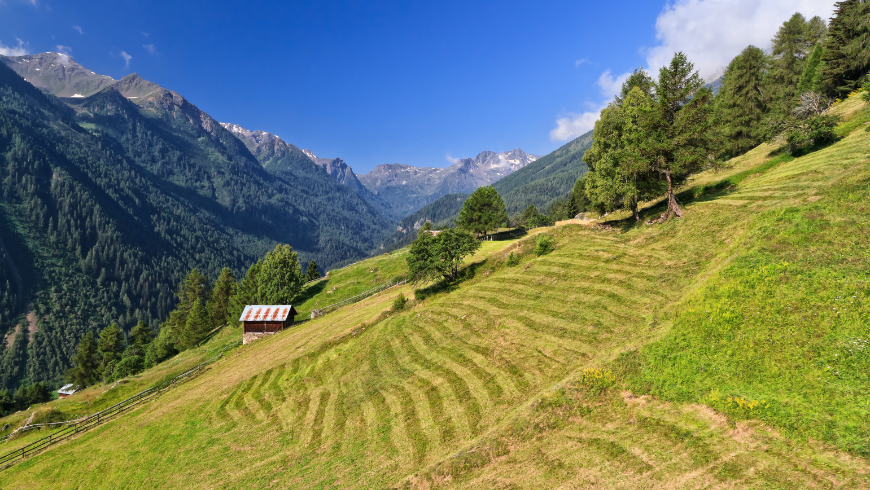 Val di Sole