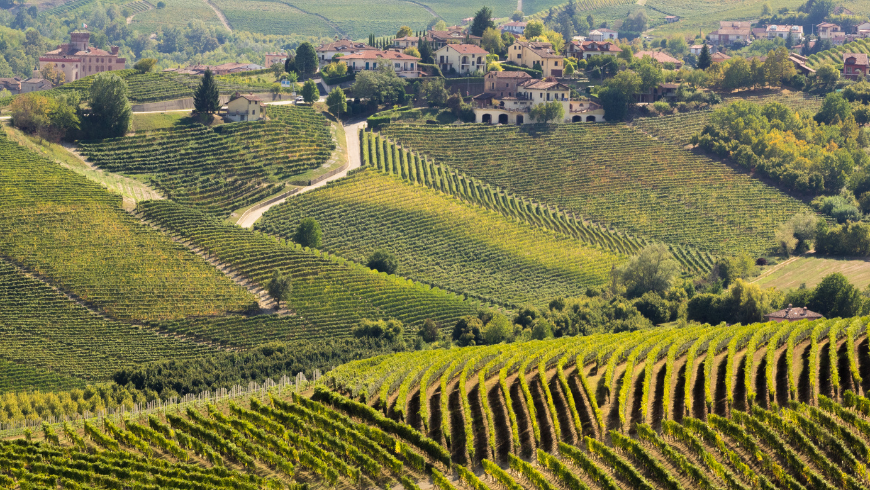 view over the vineyards of the Langhe