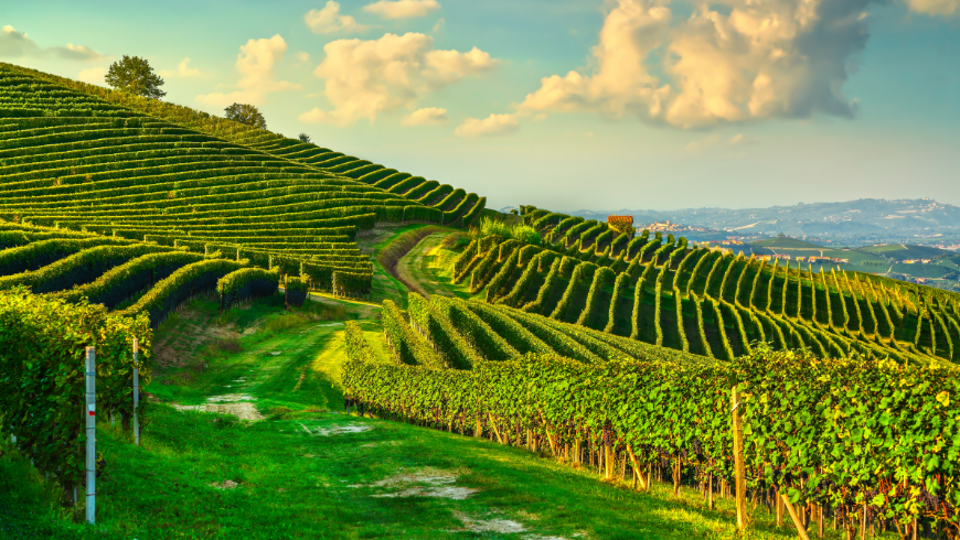 langhe landscape to dioscover by bicycle or on foot