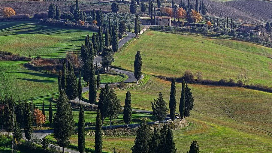 Cypress-lined road leading to Monticchiello