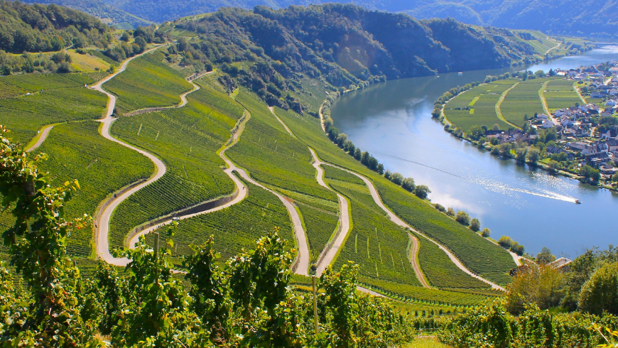 Landscape of the Mosel Valley