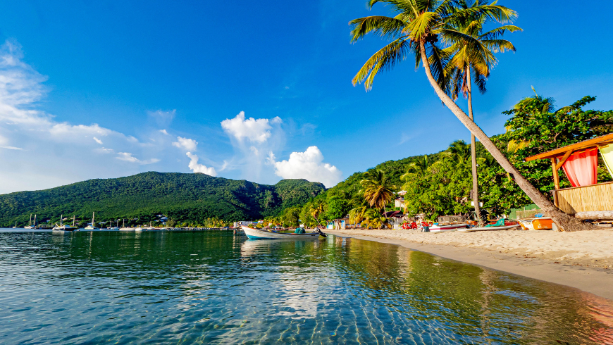Martinique beach landscape
