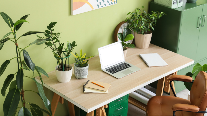 Thoughtfully designed digital workspace with potted plants inside a sustainable accommodation